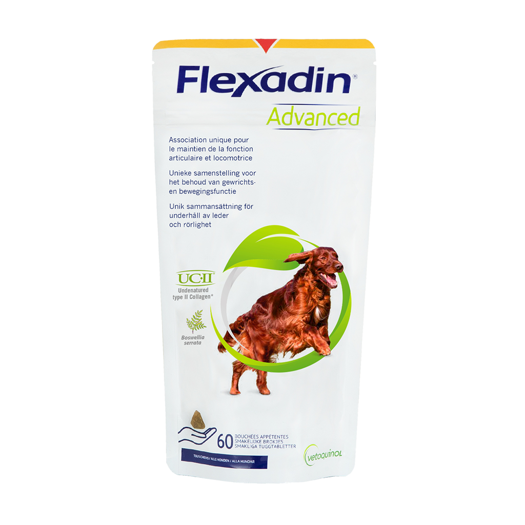 Flexadin chien adult 70 bouchées - Sensibilité articulaire