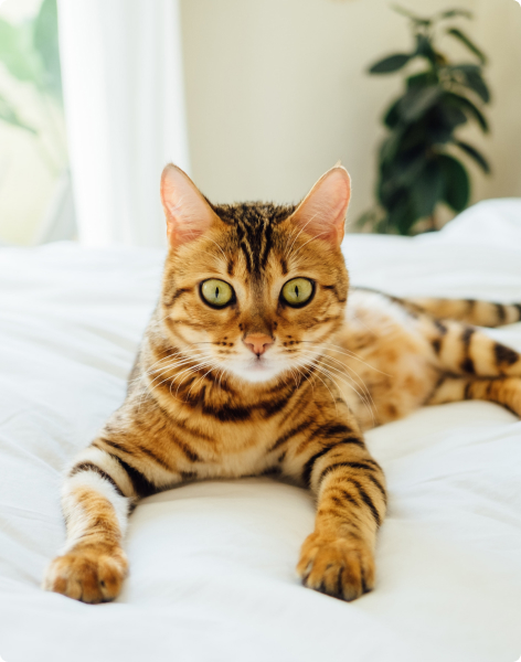 paul-hanaoka-iiTxntO78ts-unsplash (1)