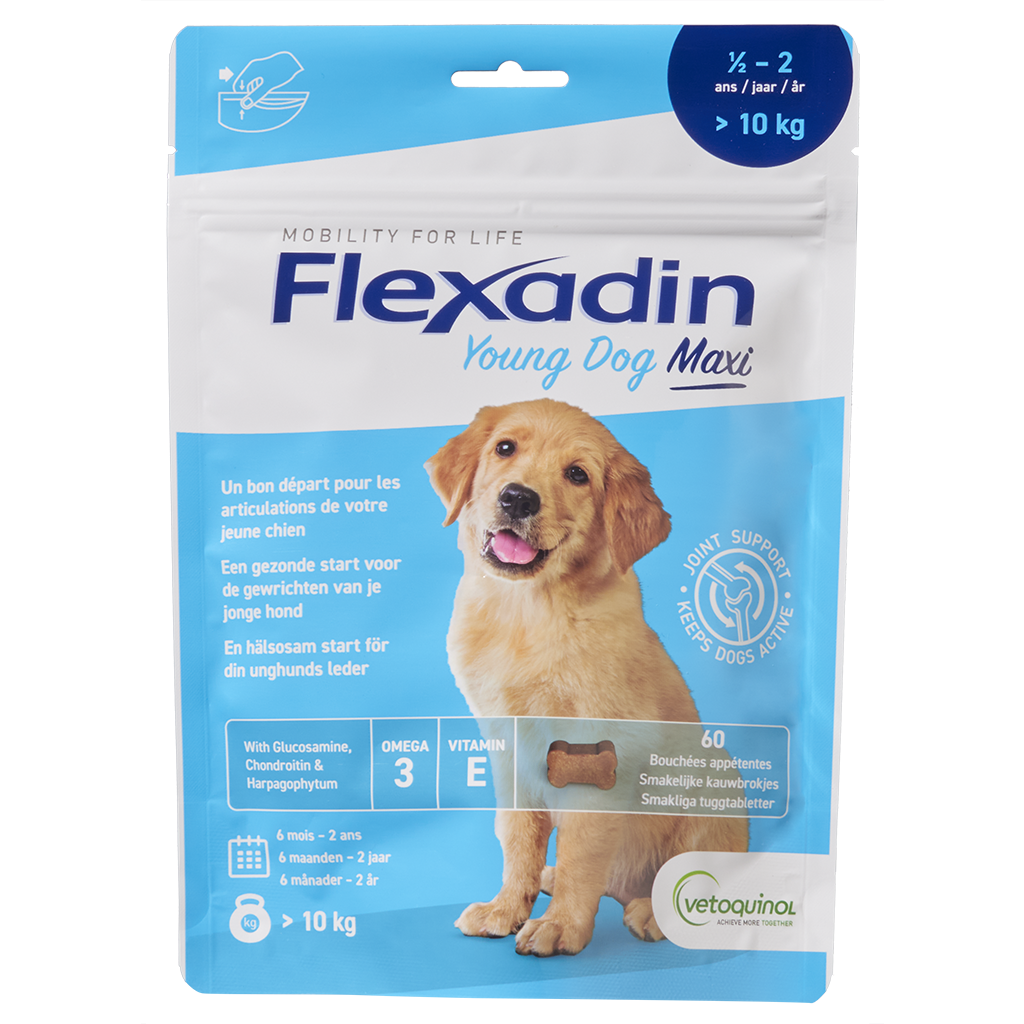 Flexadin Young Dog Maxi · Flexadin