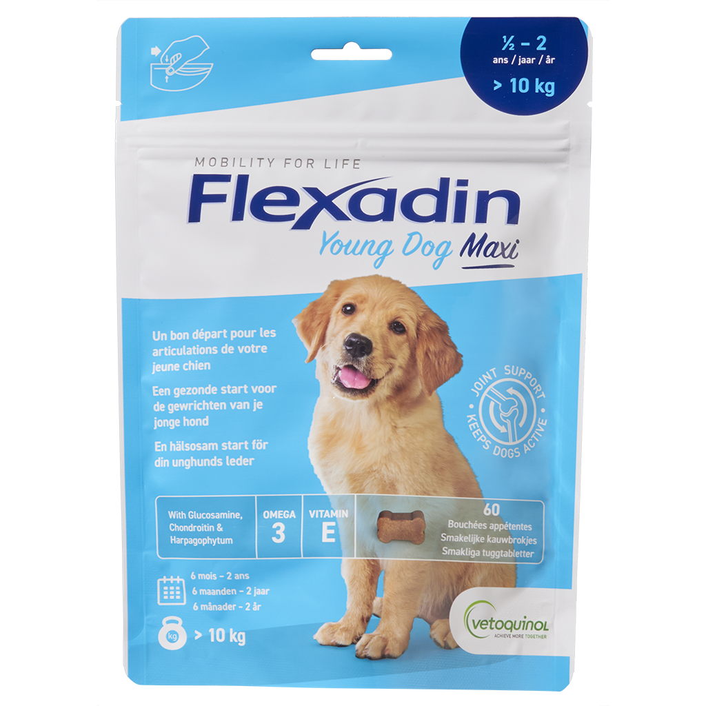 Flexadin Plus pour les chiens de + de 10kg, Articulations en cas d