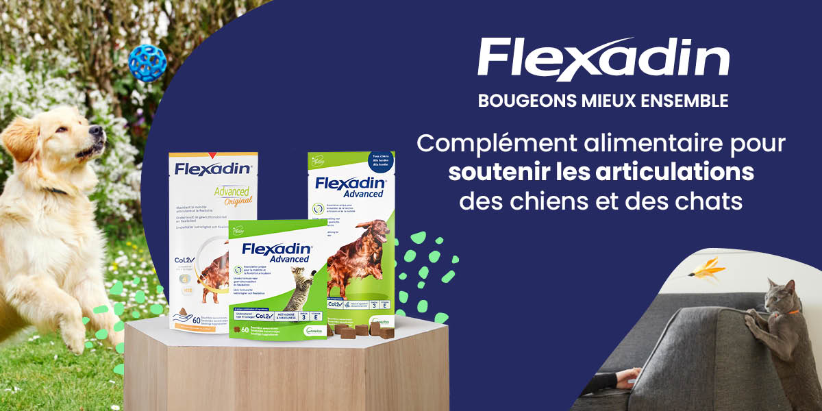 Flexadin - Soutien articulaire pour votre chat